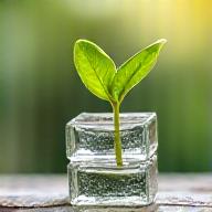 Symbol für nachhaltiges Wachstum und Finanzethik